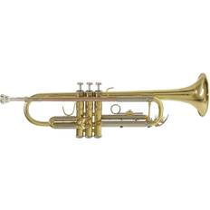 Best_beoordeeld Trompetten Bach TR 650 Bb Trumpet