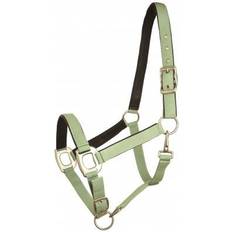 Gatsby Leather Pad Nylon Halter Horse Blueberry