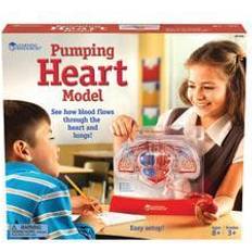 Plastikspielzeug Arztspiele Learning Resources Pumping Heart Model