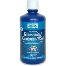 Blaubeere Nahrungsergänzung Trace Minerals Research Glucosamine Chondroitin MSM Blueberry 16 fl oz