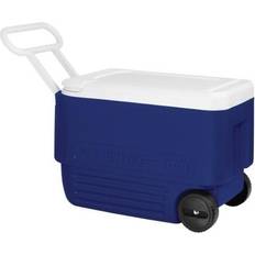 Plast Kylboxar Igloo 38 Litre Cooler