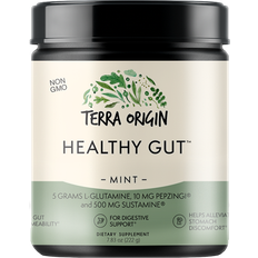Healthy Gut Mint 222g