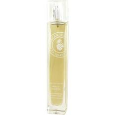 Caribbean joe Misty Nights EdP 100ml
