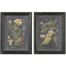 Uttermost Midnight Botanicals Framed Art 25x33"