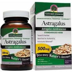 Nature's Answer Astragalus Root 60 Vegetarian Capsules