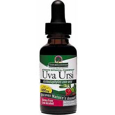 Vitamins & Supplements Nature's Answer Uva Ursi Leaf 1 fl oz