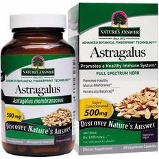 Vitamins & Supplements Nature's Answer Astragalus Root 90 Vegetarian Capsules