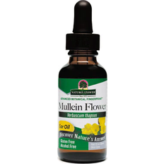 Mullein Nature's Answer Mullein Flower Ear Oil 1 fl oz