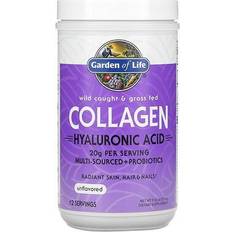 Grass fed collagen powder Garden of Life Wild Caught & Grass Fed Collagen with Hyaluronic Acid Powder Unflavored 12 Servings