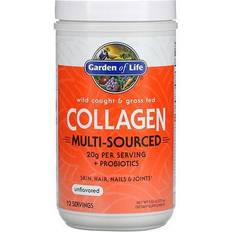 Grass fed collagen powder Garden of Life Wild Caught & Grass Fed Collagen Powder Unflavored 12 Servings