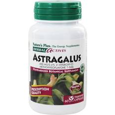 Vitamins & Supplements NaturesPlus Astragalus Standardized Botanical 450 MG (60 Capsules)