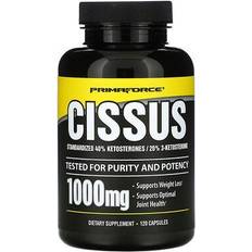 Cissus Primaforce Cissus 120 Vegetarian Capsules Joint Support