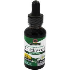 Nature's Answer Chickweed Herb Alcohol Free 1 fl oz 30 stk