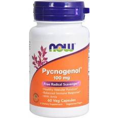 Pycnogenol NOW Pycnogenol 100 mg 60 Kapsler