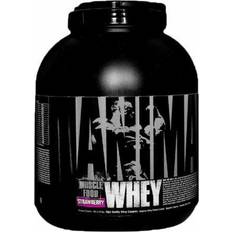 Strawberry - Whey Proteins Protein Powders Universal Nutrition Universal Nutrition Whey, Strawberry, 4 Lbs