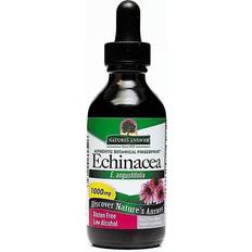 Vitamins & Supplements Nature's Answer Echinacea 2 fl oz