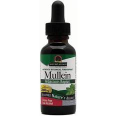 Mullein Nature's Answer Mullein 2000 mg 1 fl oz