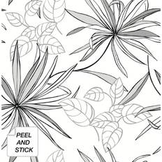 Wallpapers NextWall NextWall Peel & Stick Spider Plants Grayscale Wallpaper