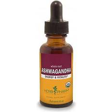 Ashwagandha Energy & Vitality 1 fl oz