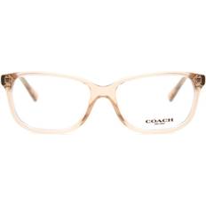 Glasses & Reading Glasses Coach HC6143 5561