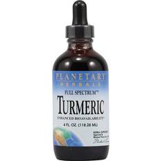 Vitamins & Supplements Planetary Herbals Turmeric Liquid Full Spectrum 4 Oz