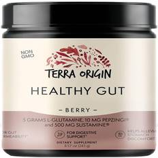 Terra Origin Healthy Gut Berry 30 Servings