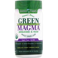 Barley grass juice powder Green Foods Green Magma Barley Grass Juice Powder 2.8 oz (80 g)