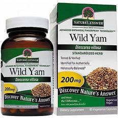 Wild yam hälsokost Nature's Answer Wild Yam Standarized Extract 220 mg 60 Vegetarian Capsules