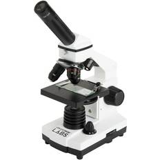 44128CGL CLCM800 Compound Microscope