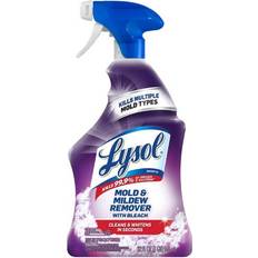 Liquid Bathroom Cleaners Lysol Mold and Mildew Remover