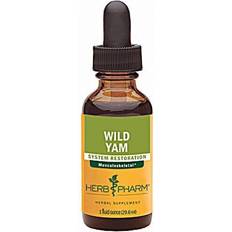 Wild yam hälsokost Herb Pharm Wild Yam System Restoration 1 fl oz