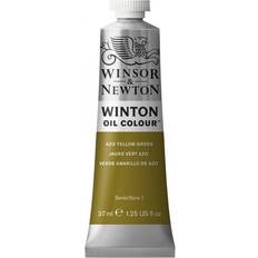 Winsor & Newton Ölfarben Winsor & Newton Winton Oil Colour Azo Yellow Green 37ml