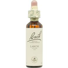 Bach Larch 20ml