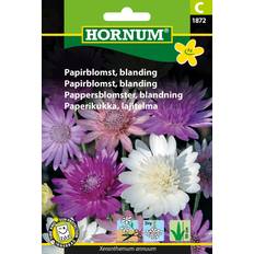 April Blomsterfröer Hornum Papirblomst Blanding