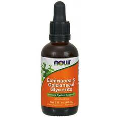 NOW Echinacea & Goldenseal Glycerit 60 ml