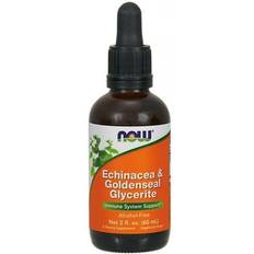 NOW Foods Echinacea & Goldenseal Glycerite 60 ml