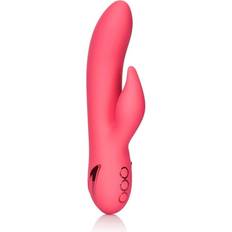 CalExotics California Dreaming San Francisco Sweetheart