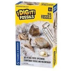 Plástico Kits de experimentos científicos I Dig It! Fossils Real Fossils Excavation Kit