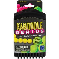 Kanoodle Genius