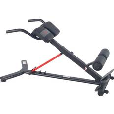 Dip station Sunny Health & Fitness Hyperextension Roman Chair with Dip Station