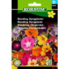 Slyngplanter Hornum Slyngplanter Blanding (1672) Blomsterfrø