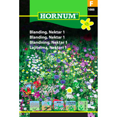 Hornum Blomsterfrø Hornum Nektar 1 Blanding (1666) Blomsterfrø