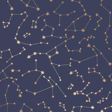 Wallpapers Tempaper Constellations (CO472)