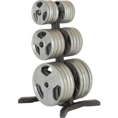 Storage Racks on Black Friday sale Fitness Reality X-Class Olympic Weight Tree Plate Rack