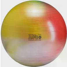 Gym Balls Gymnic Arte 65cm