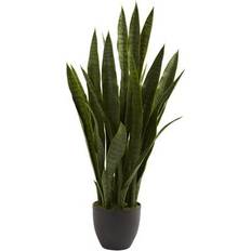 Sansevieria Plant 35"