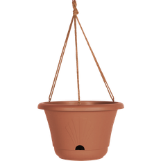 Bloem Lucca Hanging Basket Ø 13" 33.02cm