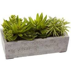 Outdoor Planter Boxes Nearly Natural Succulent Garden Planter Box 12.75x8.5"