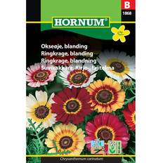 Krukor, Plantor & Odling Hornum Okseøje Blanding