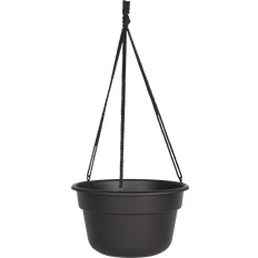 Bloem Dura Cotta Hanging Basket Ø 12"